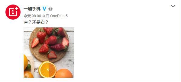 一加5官方樣張曝光：表現(xiàn)遠(yuǎn)超iPhone 7 Plus？-鋒巢網(wǎng)