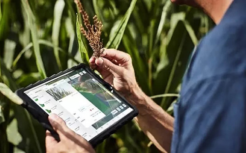 人工智能如何引領(lǐng)農(nóng)業(yè)的落地應(yīng)用！-鋒巢網(wǎng)