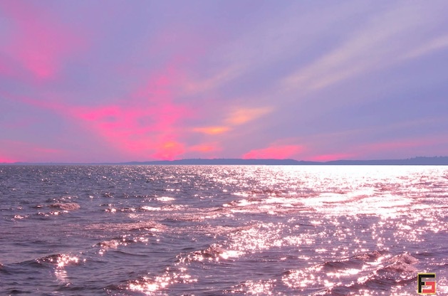 烽巢網(wǎng)辣評：2017年度最具科技價值『自媒體』榜單-鋒巢網(wǎng)