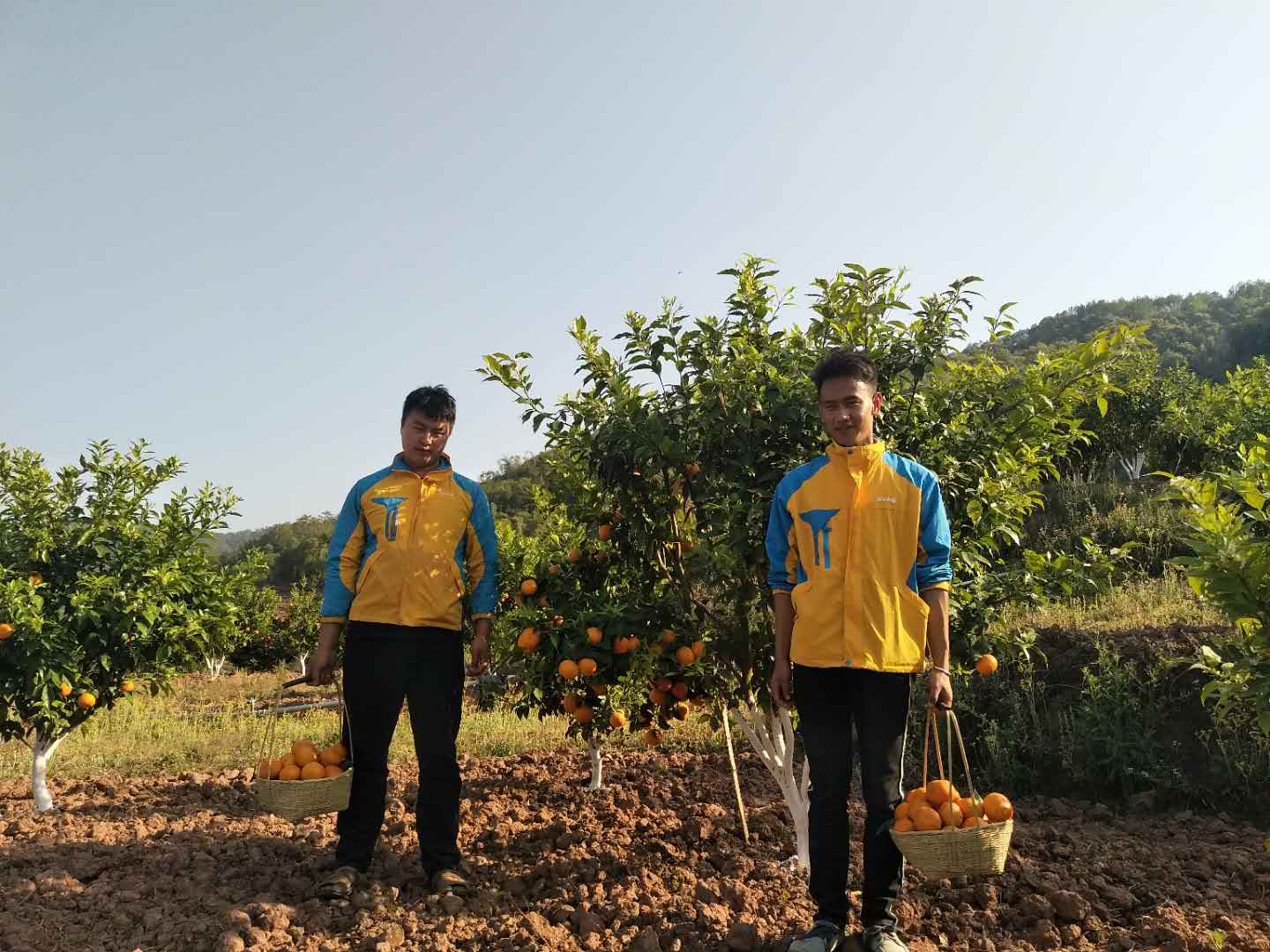 “哈尼郭富城”開(kāi)史上海拔最高蘇寧零售云門(mén)店，只因“多看你一眼-鋒巢網(wǎng)