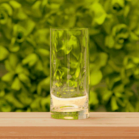 這次減肥，我們做了一項(xiàng)決定-鋒巢網(wǎng)