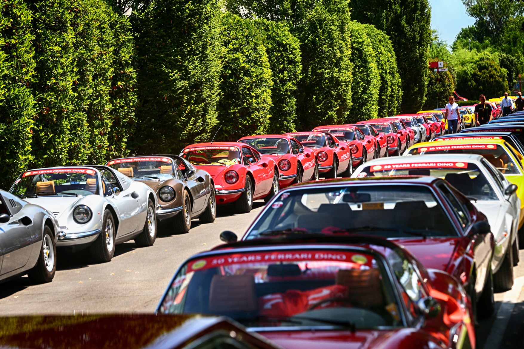 慶祝 Dino 亮相 50 周年，場(chǎng)面極為震撼！-鋒巢網(wǎng)