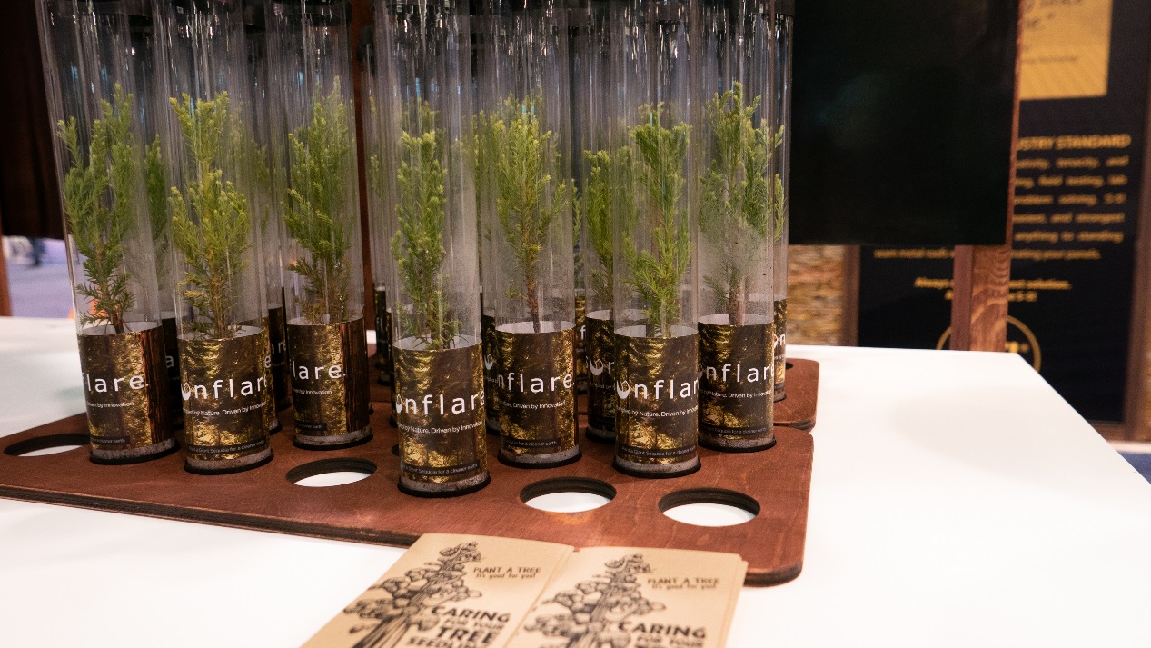 Sunflare悄然崛起，中國(guó)太陽(yáng)能科技炸裂SPI-鋒巢網(wǎng)