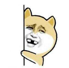 藏龍臥虎！迅雷鏈沙龍現(xiàn)場驚現(xiàn)眾多技術(shù)很牛的小姐姐-鋒巢網(wǎng)