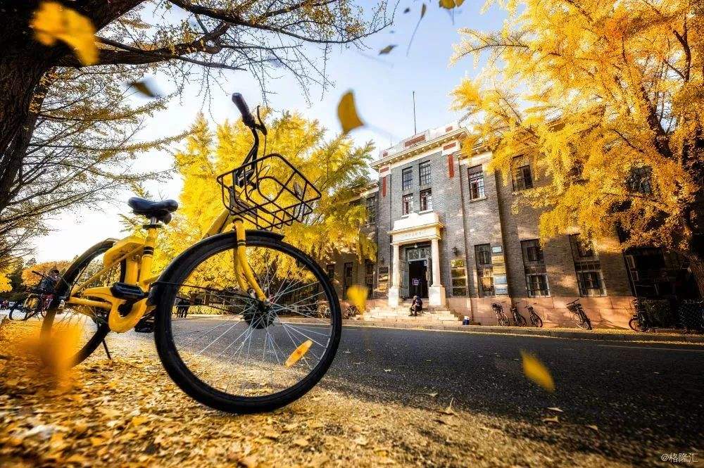 ofo創(chuàng)始人戴威發(fā)內(nèi)部全員信：不逃避，勇敢活下去-鋒巢網(wǎng)