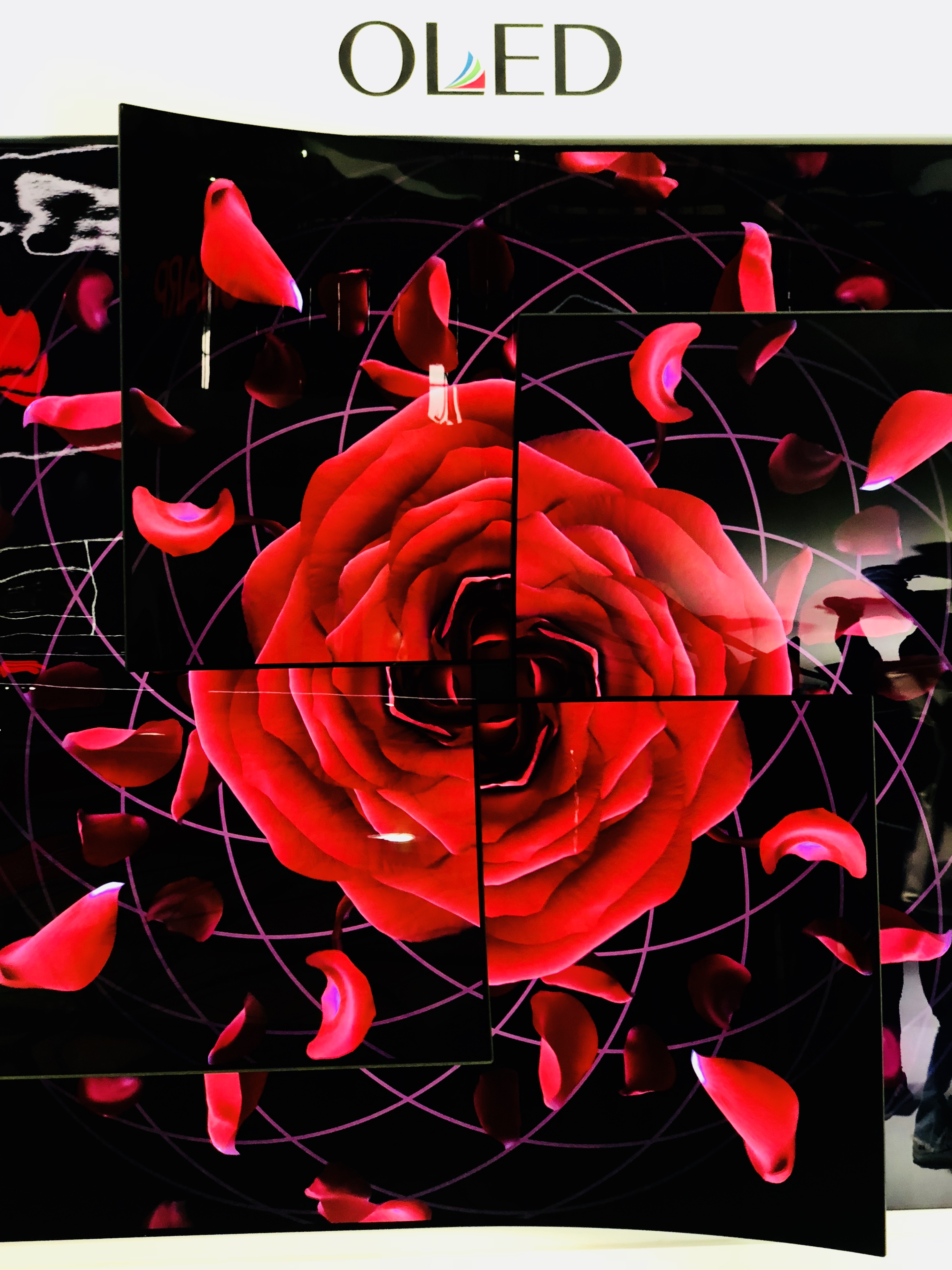 回顧AWE2019 鋒巢網(wǎng)現(xiàn)場(chǎng)直擊報(bào)道-鋒巢網(wǎng)