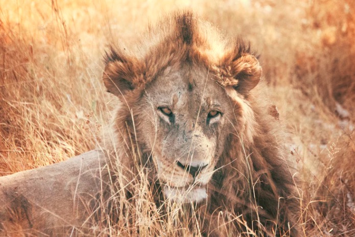 為什么今日頭條故意泄露用戶隱私？-鋒巢網(wǎng)