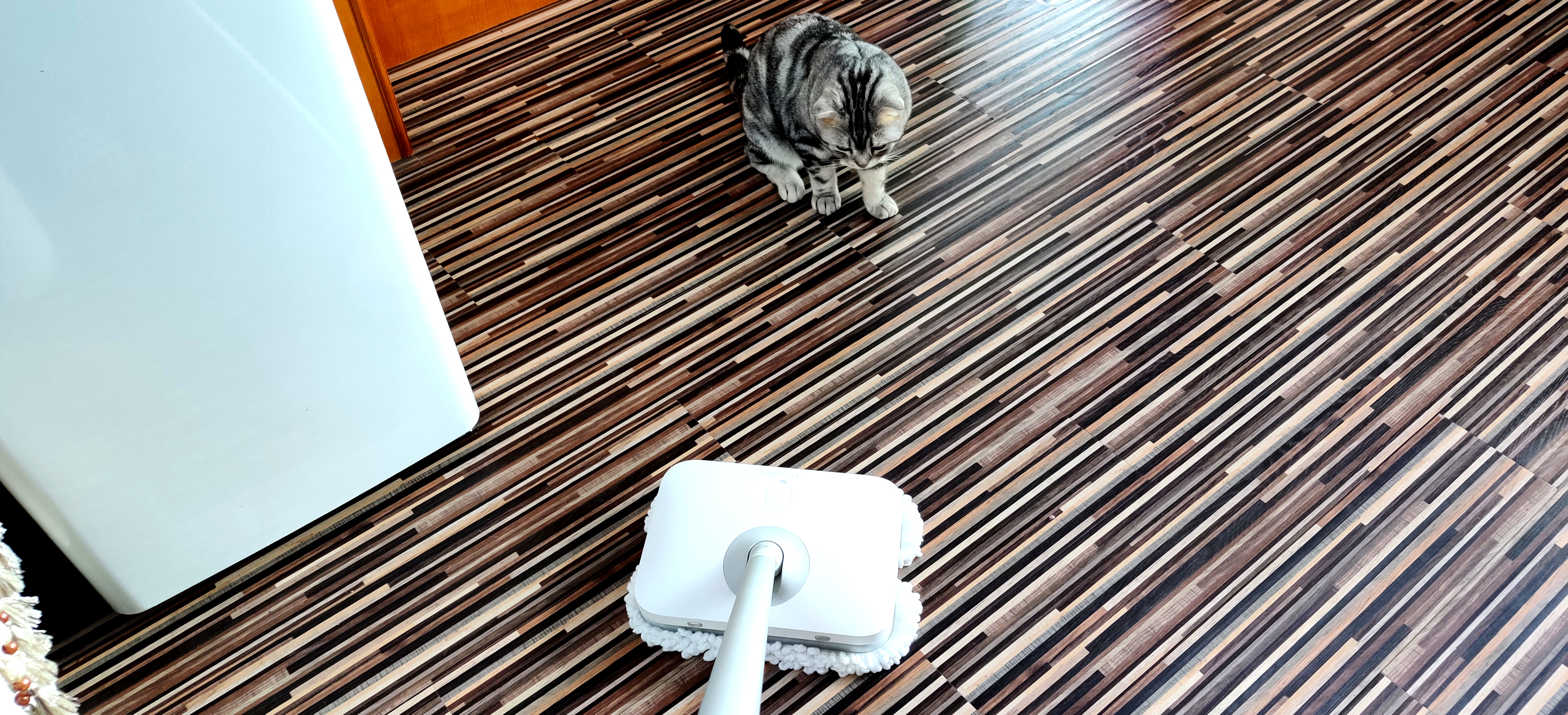 清潔自由省心：米家無(wú)線手持擦地機(jī)體驗(yàn)-鋒巢網(wǎng)