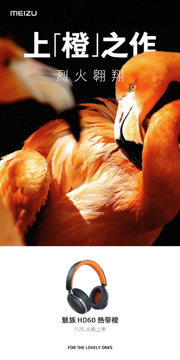 魅族HD60熱帶橙上線，11月25日開賣-鋒巢網(wǎng)