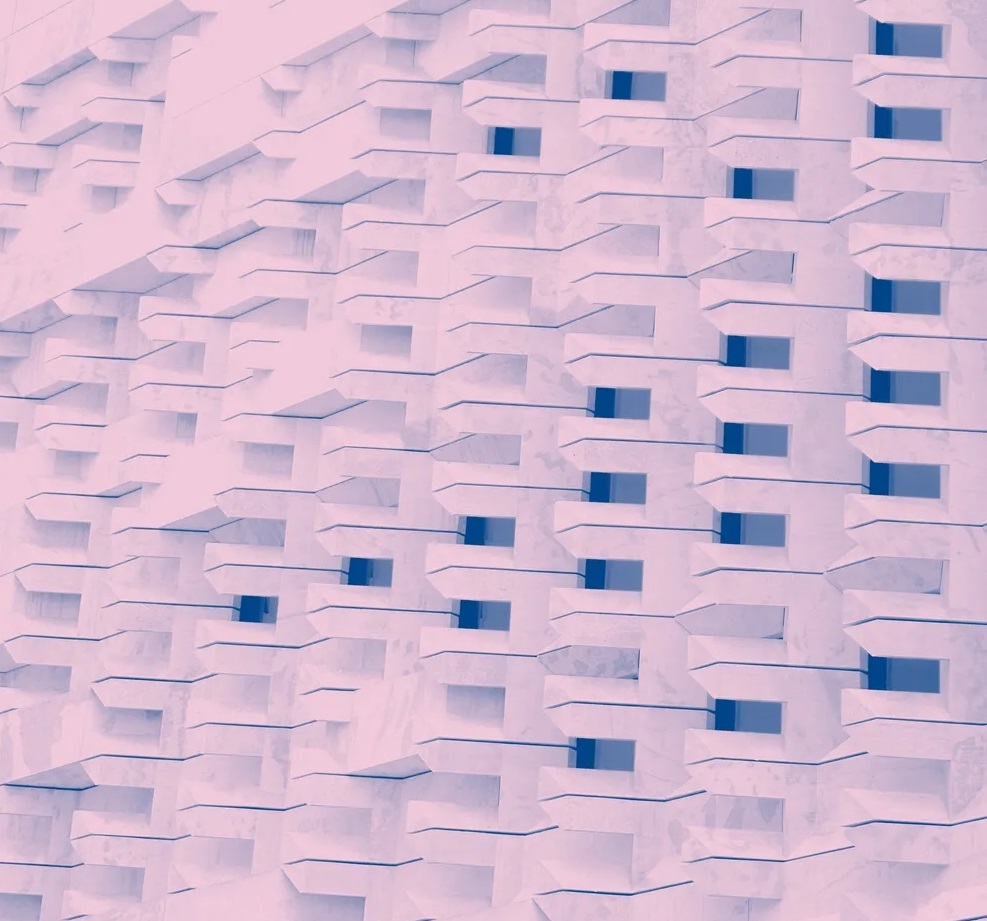 在線教育暑期檔燒錢大廝殺-鋒巢網(wǎng)