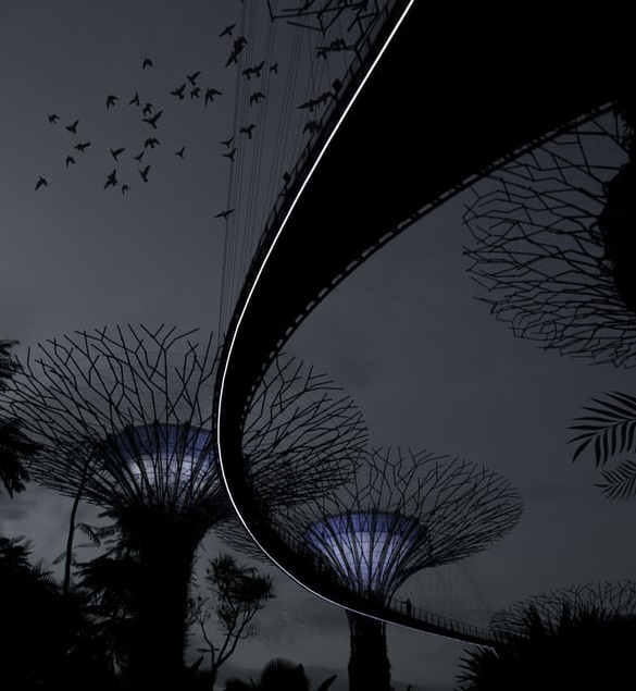 十年前“問”知乎，十年后“看”知乎-鋒巢網(wǎng)