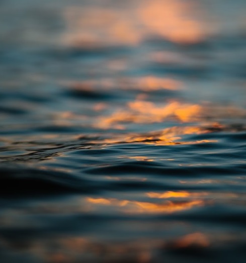 茅臺：真火還是虛火？-鋒巢網