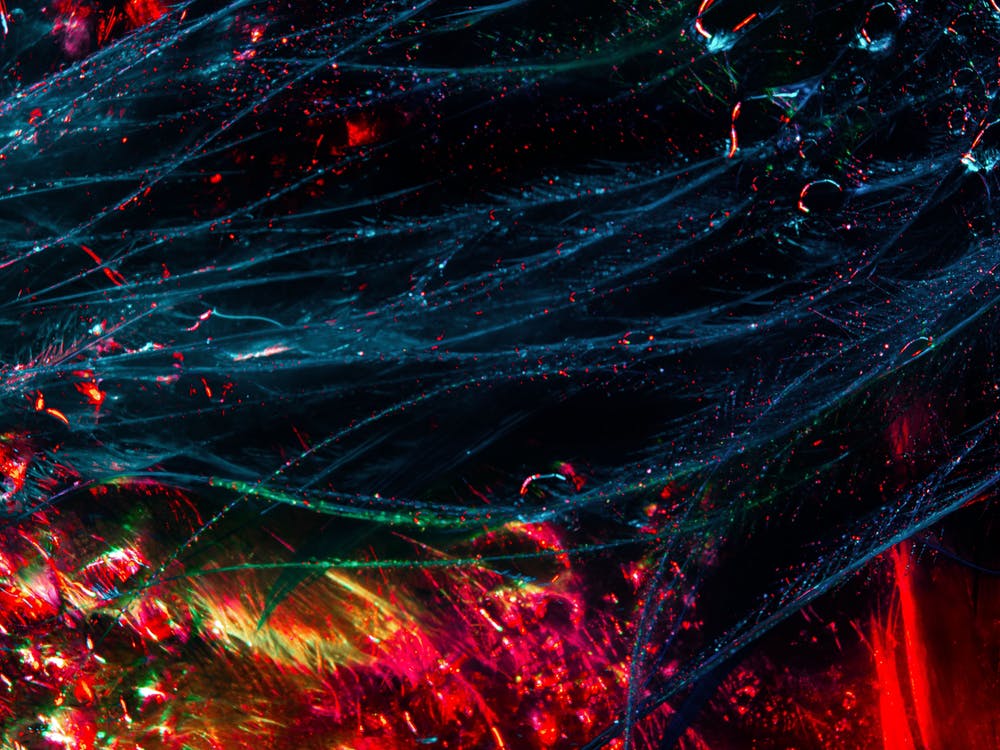 魔獸興衰，論壇浮沉-鋒巢網(wǎng)