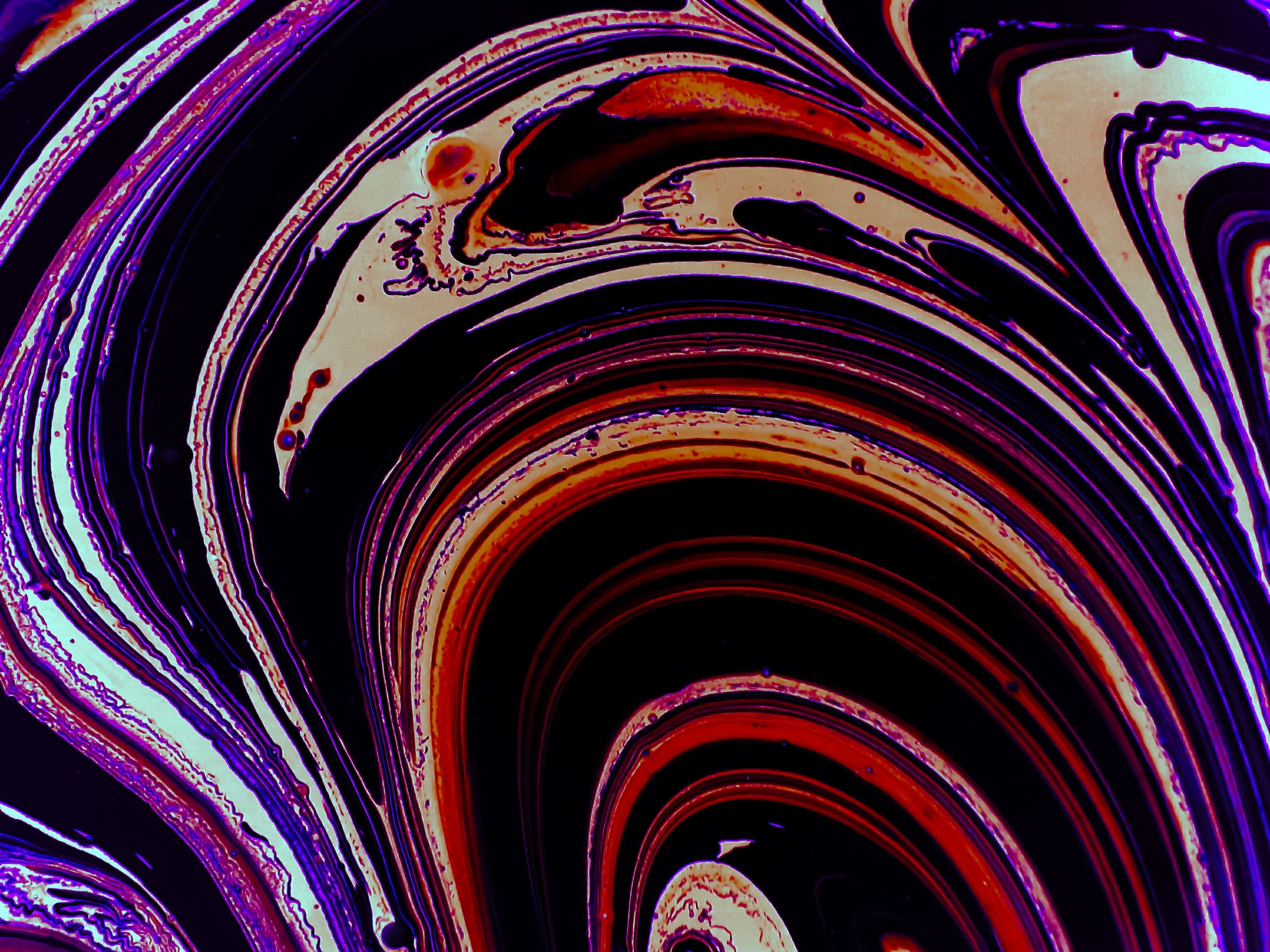 長假大考充電樁：堵車不可怕，沒電才尷尬-鋒巢網(wǎng)