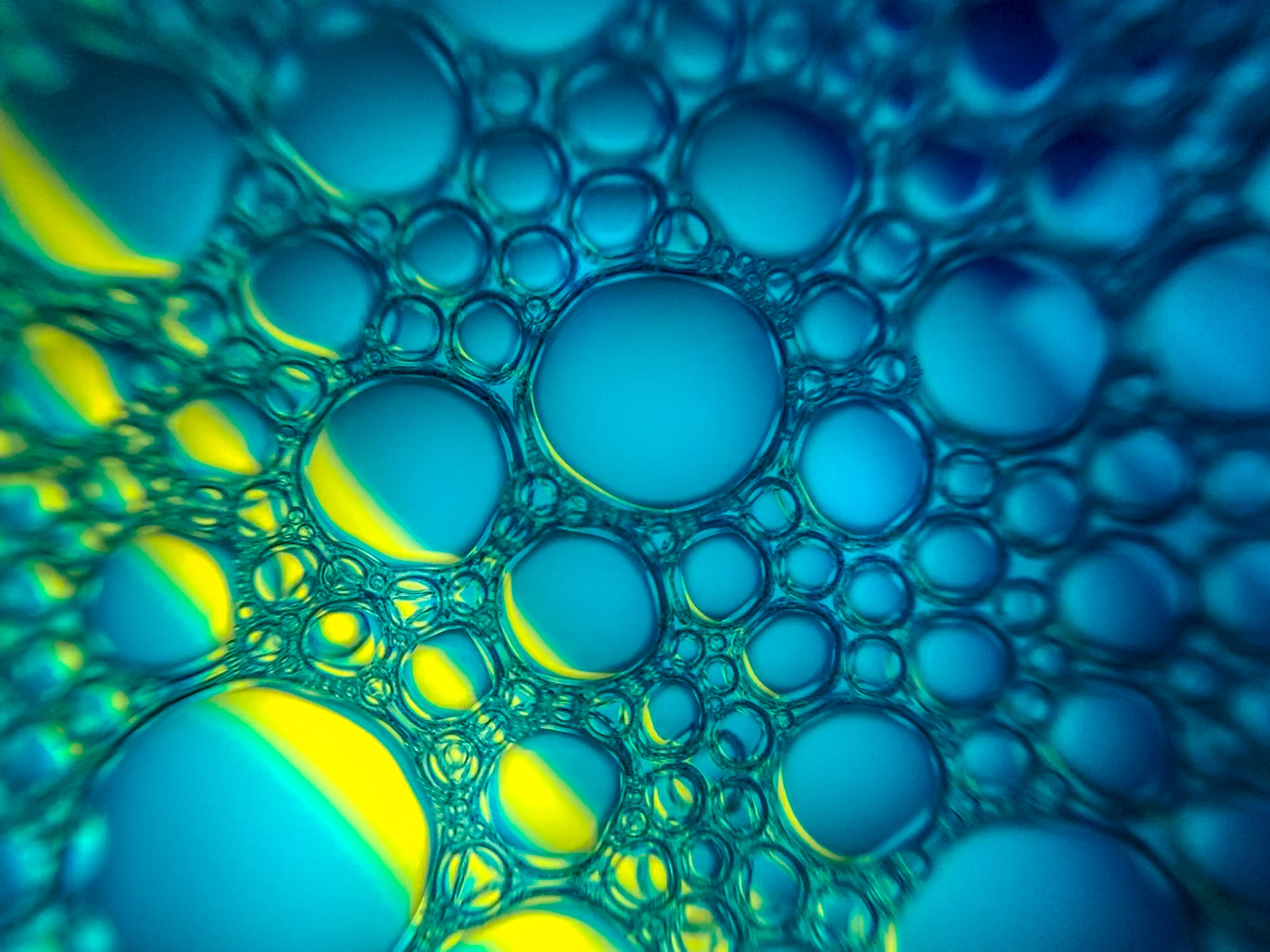 幣圈大地震，賭場(chǎng)眾生相-鋒巢網(wǎng)